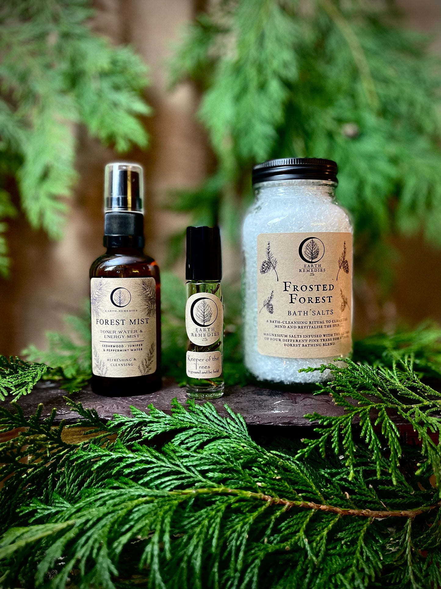 The Forest Collection