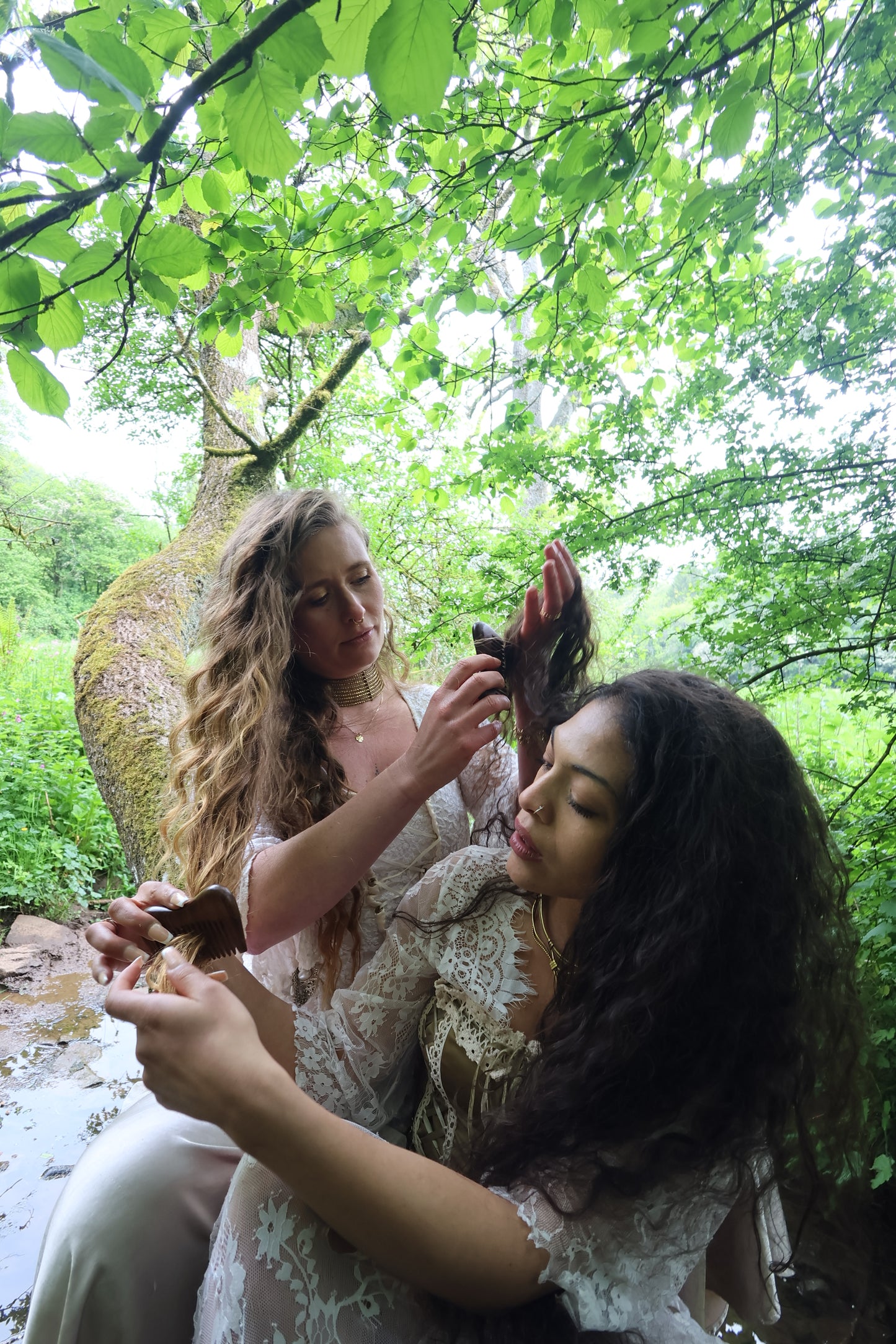 Siren Song Hair Oil