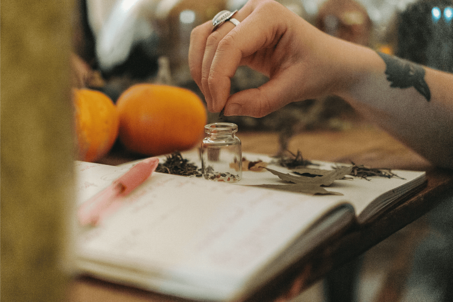 Winter Solstice Folk Herbalism