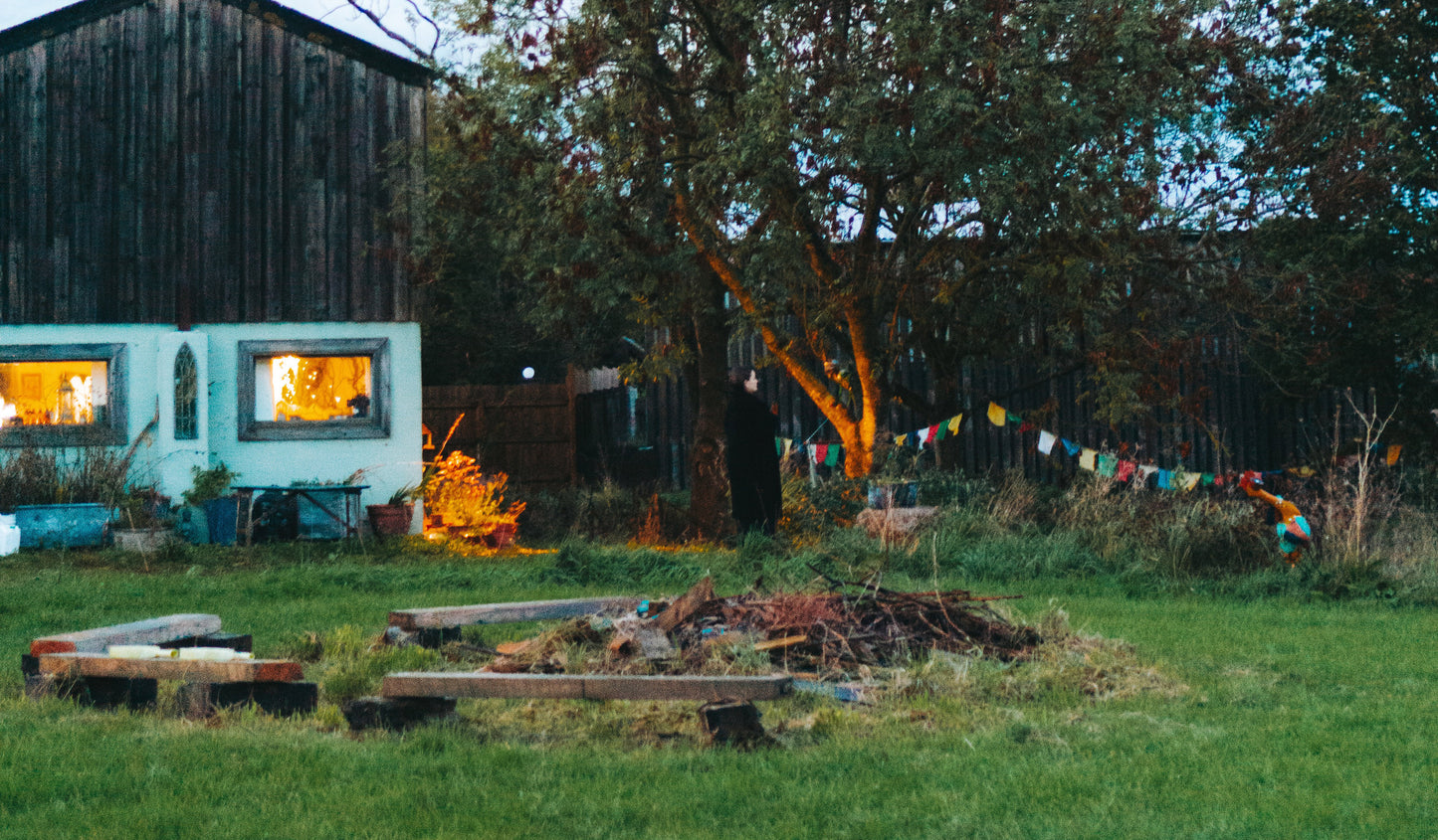 Winter Solstice Folk Herbalism